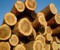 建築・土木用木材
